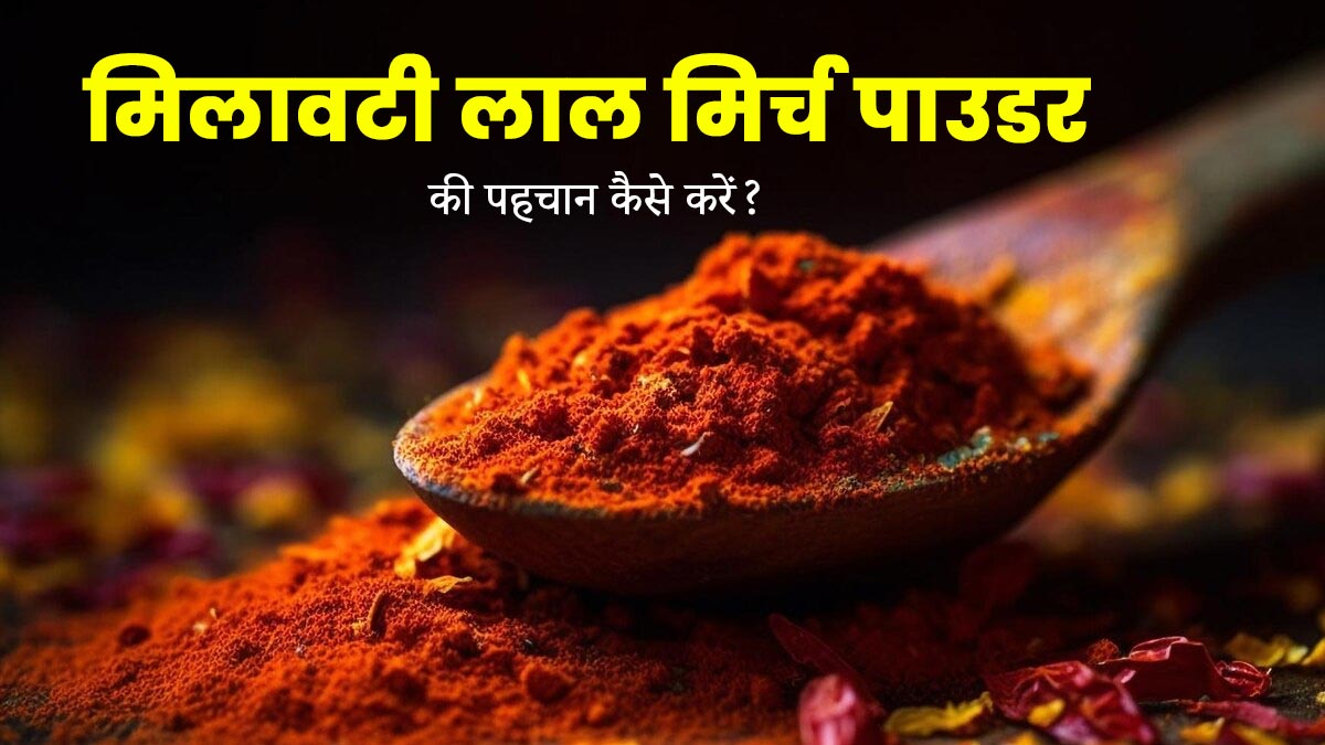 Red Chilli Powder (लाल मिर्च)