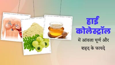 हाई कोलेस्ट्रॉल में करें आंवला चूर्ण और शहद का सेवन, मिलेंगे फायदे