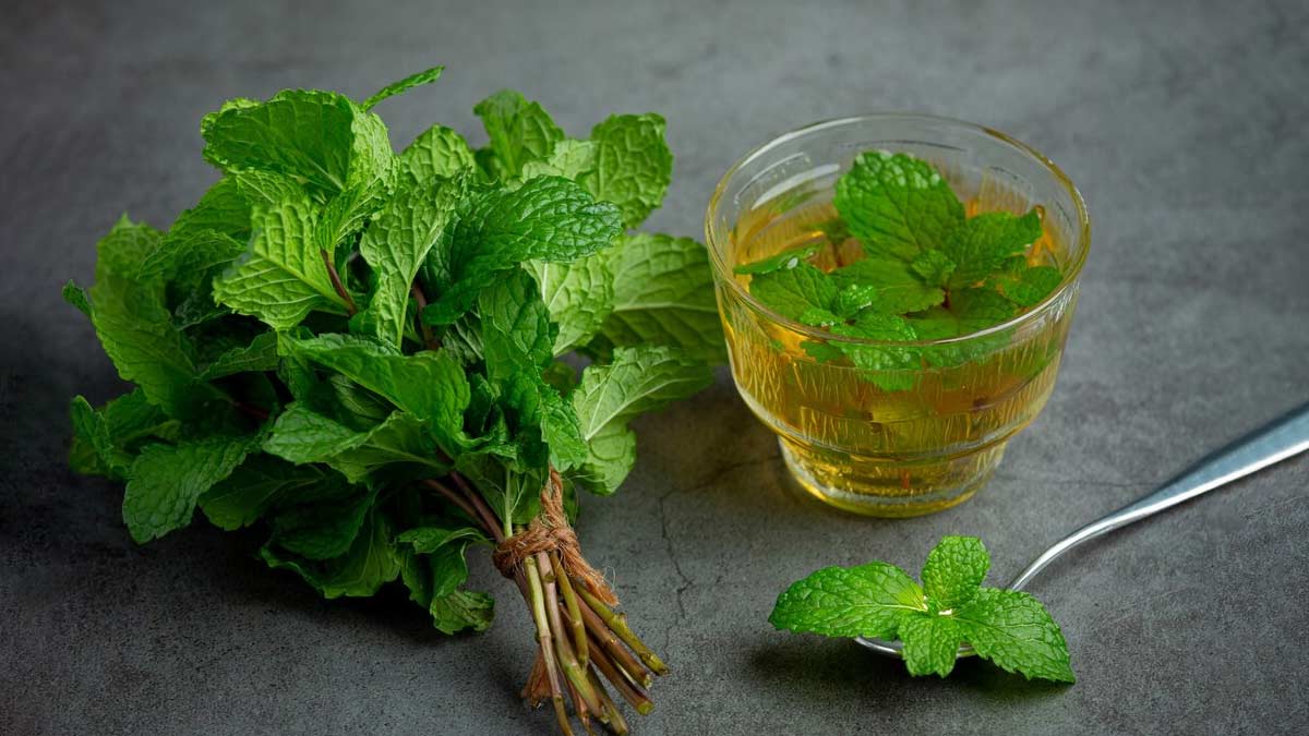 Nutrient Powerhouse Parsley: What Are Its Health Benefits?