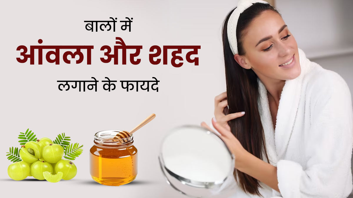 बालों में आंवला और शहद लगाने से मिलते हैं जबरदस्त फायदे, जानें सही तरीका