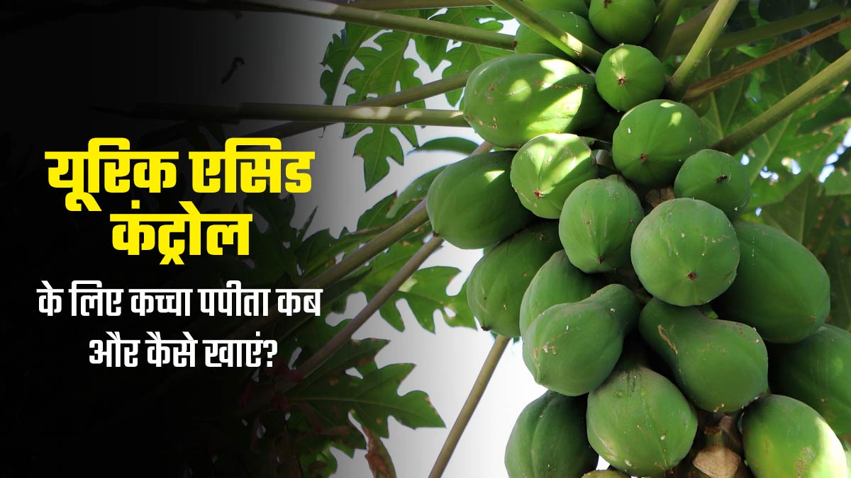 हाई यूरिक एसिड में फायदेमंद हो सकता है कच्चा पपीता, डॉक्टर से जानें खाने का सही समय और तरीका
