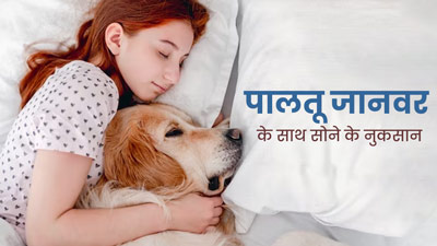 क्‍या आपको भी है पेट डॉग या कैट के साथ सोने की आदत? एक्‍सपर्ट से जानें सेहत के ल‍िए इसके नुकसान