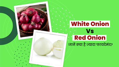 सफेद या लाल प्याज: सेहत के लिए क्या होता है ज्यादा फायदेमंद? एक्सपर्ट से जानें