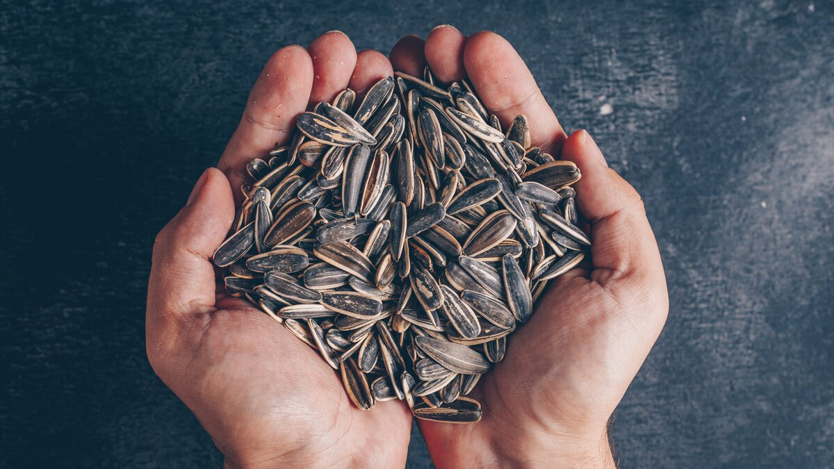 seeds