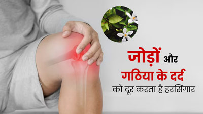 गठिया रोगियों के लिए बेहद फायदेमंद होती हैं हरसिंगार के पत्ते, जोड़ों के दर्द और सूजन से दिलाती हैं राहत