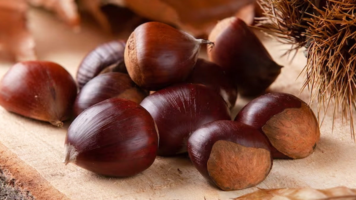 horse chestnut benefits in hindi 