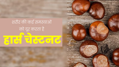 Horse Chestnut Benefits: शरीर की इन 5 समस्याओं को दूर कर सकता है हार्स चेस्टनट, जानें सेवन का तरीका 