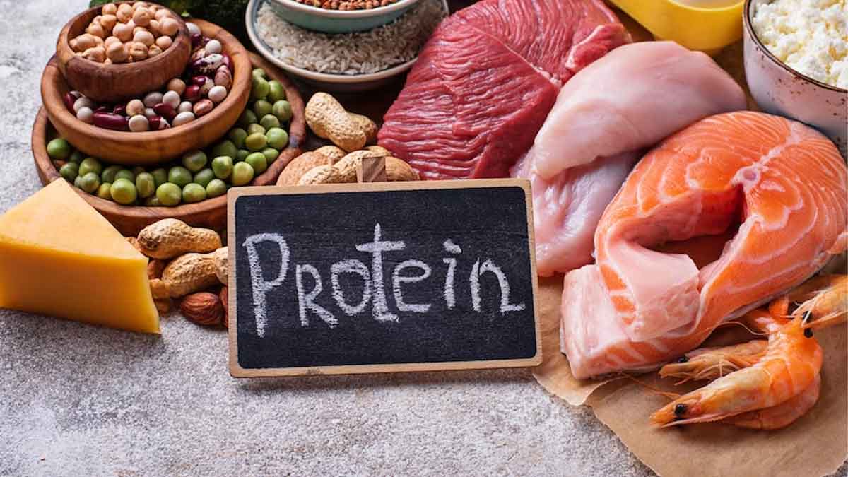 Lean Protein Vs Protein, Here’s How You Can Distinguish Between The Two