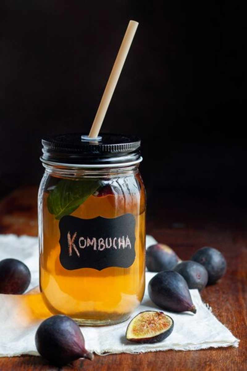 kombucha