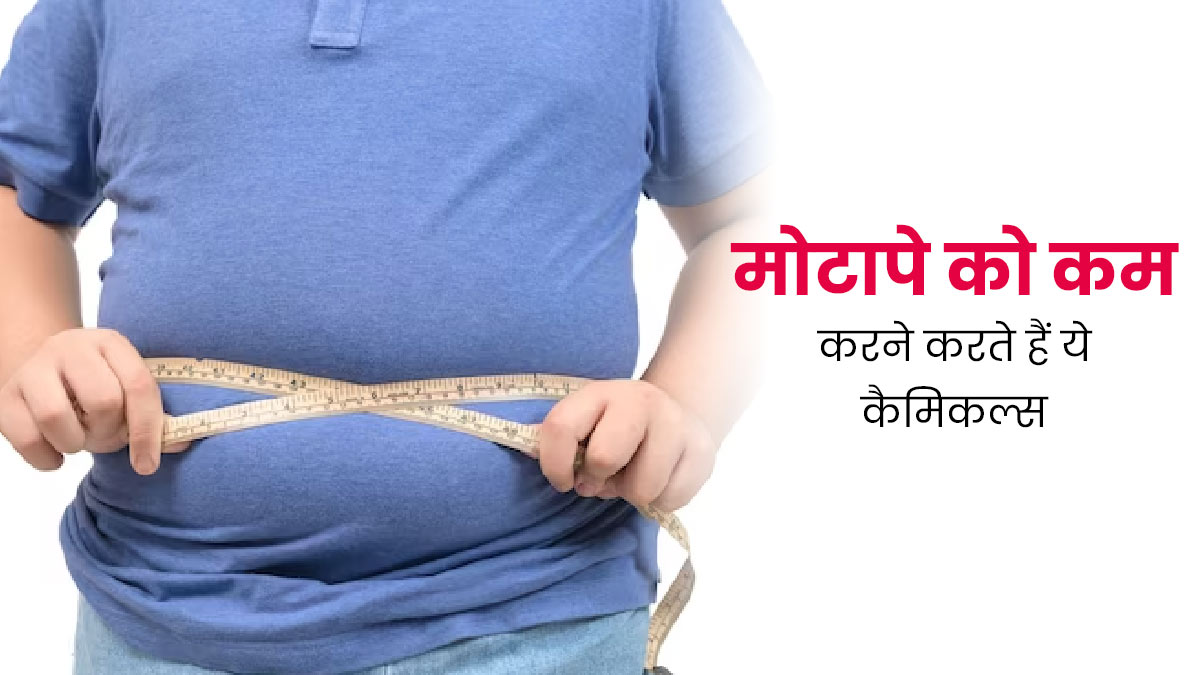 ओबिसोजीन्स के कारण मोटापा कम करने में हो सकती है परेशानी, जानें क्या है ओबिसोजीन्स 