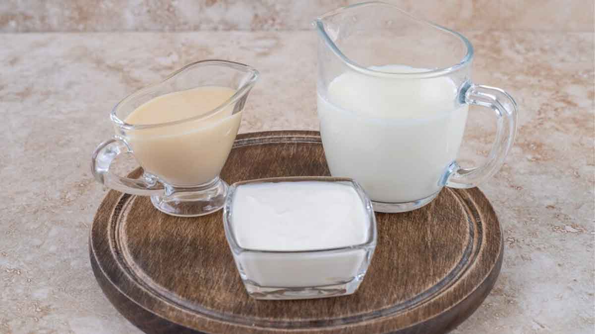 types-of-milk