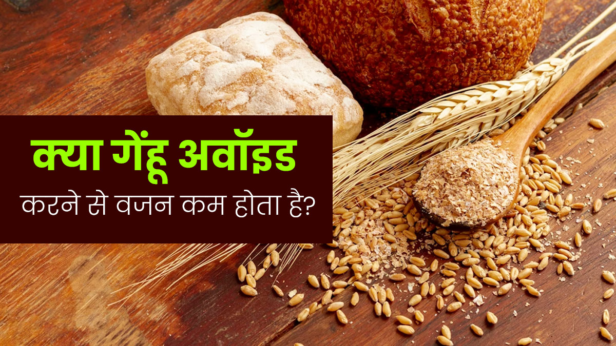 क्या डाइट से गेंहू अवॉइड करने से वजन कम होता है? जानें एक्सपर्ट से 