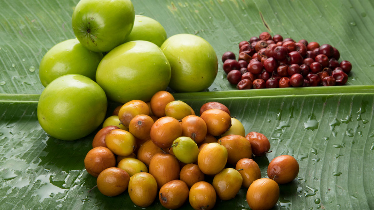 jujube benefits for fertility