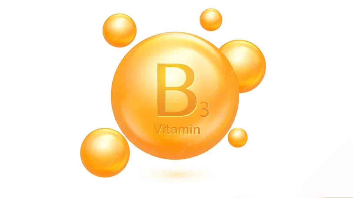 Discover Top 5 Niacin-Rich Foods You Should Include in Your Diet