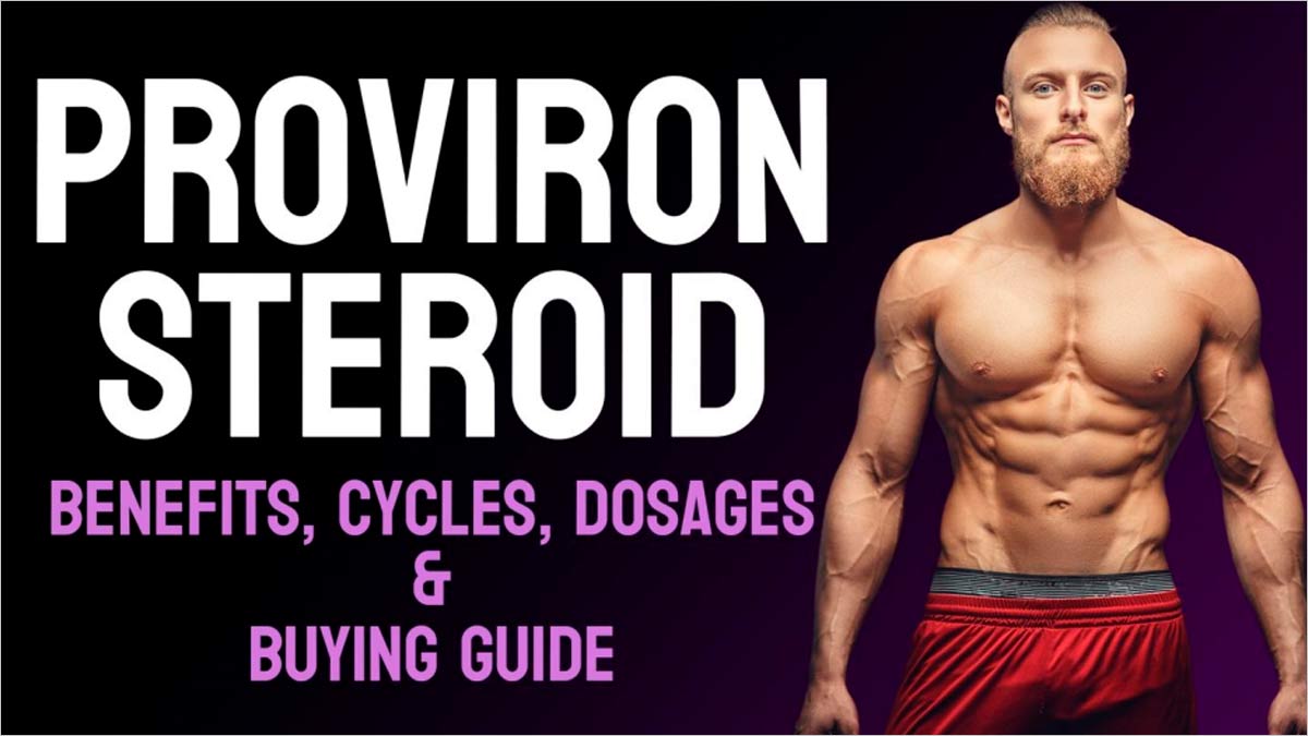 Proviron Steroid Cycle, Dosage, Benefits & Buying Guide in the UK<!-- --> |  OnlyMyHealth