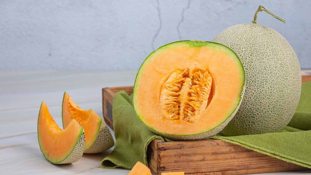 Cantaloupe: Health Benefits One Should Know