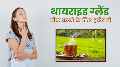 थायराइड ग्रंथि के लिए बेहद फायदेमंद होती है धनिया के बीजों से बनी हर्बल टी, TSH लेवल भी रहता है कंट्रोल