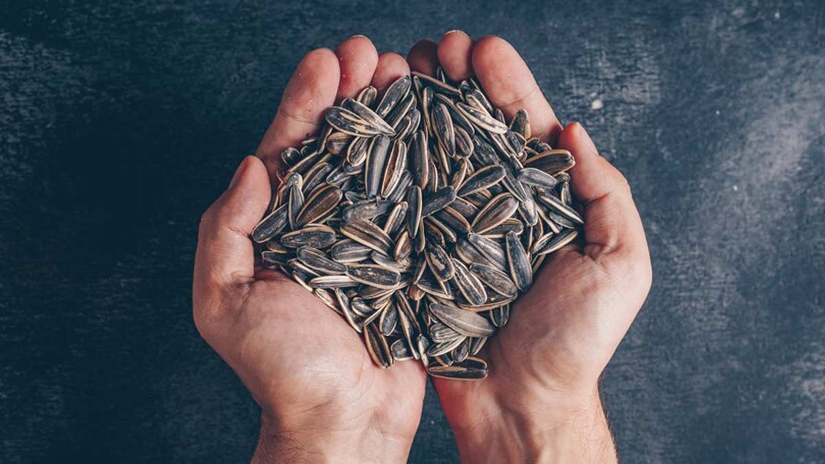 Sunflower Seeds For Health: Expert Explains How It Benefits Your Health