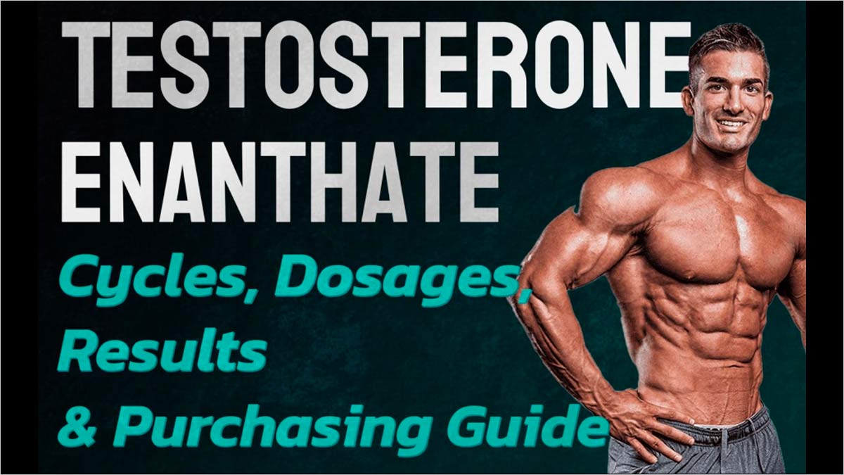 Testosterone Enanthate for sale in the UK: Cycle, Dosage, Results & Test E Buying Guide