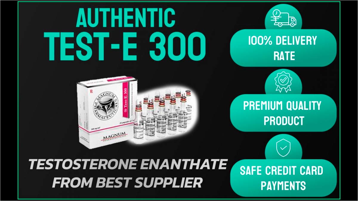 Test-E 300 