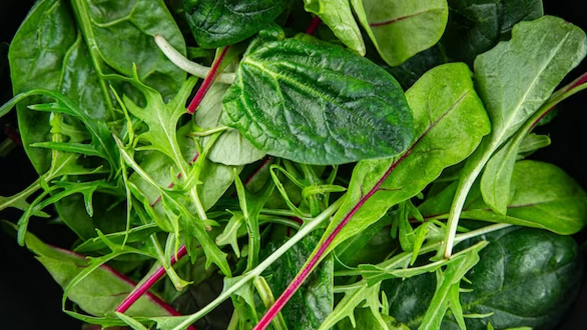 jalkumbhi benefits for weight loss