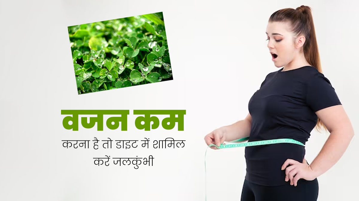 वजन कम करना है तो डाइट में शामिल करें जलकुंभी, जानें कैसे करें इसका सेवन