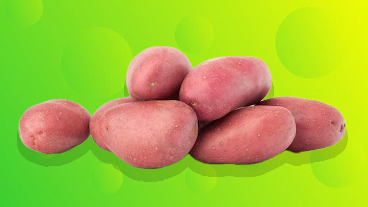red potatoes