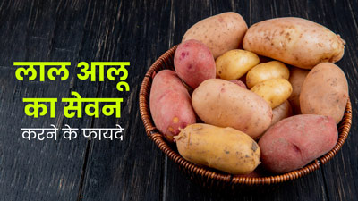 लाल आलू है सेहत के लिए सफेद आलू से ज्यादा फायदेमंद, जानें 5 फायदे