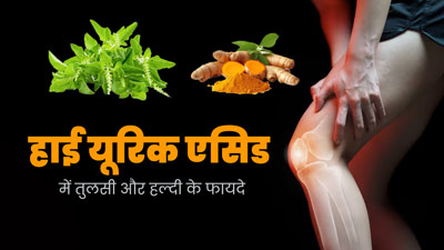हाई यूरिक एसिड को कम करने के लिए करें तुलसी और हल्दी का सेवन, जानें तरीका