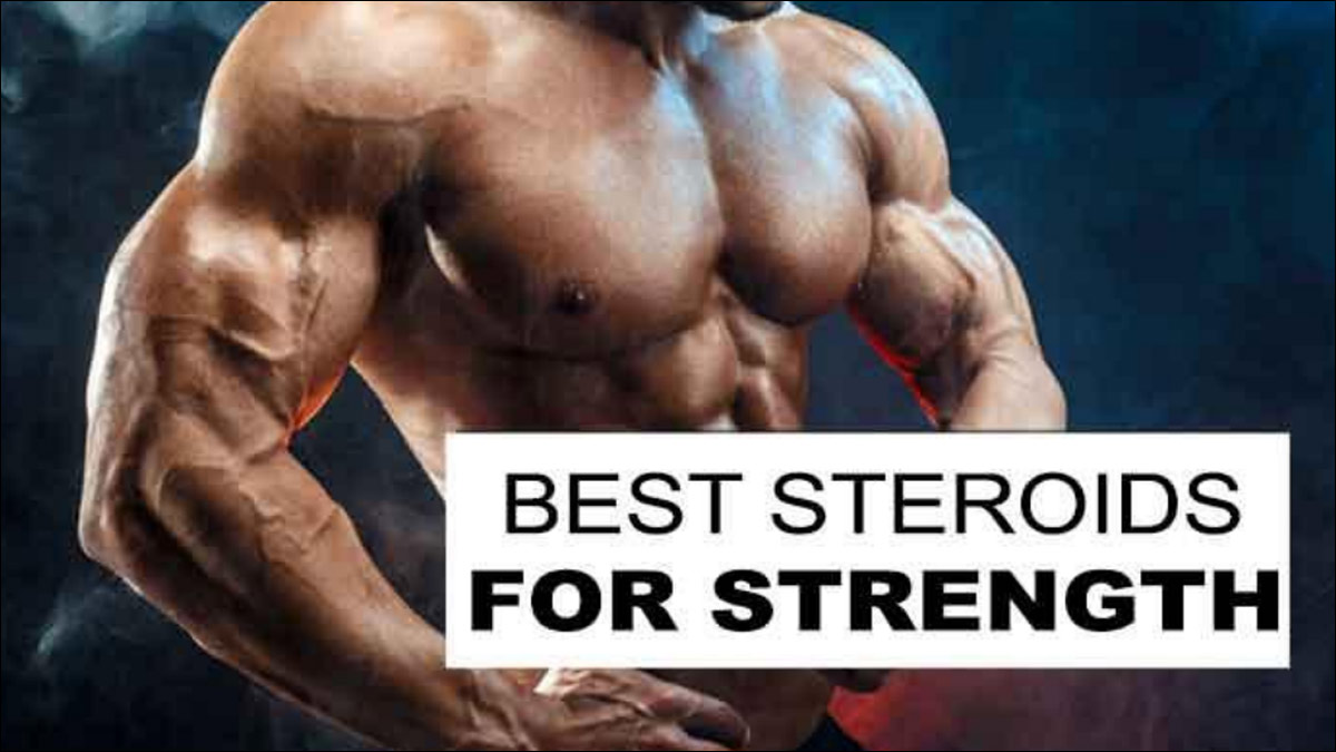 Size vs. Strength: How Important is Muscle Growth For Strength Gains? •  Stronger by Science