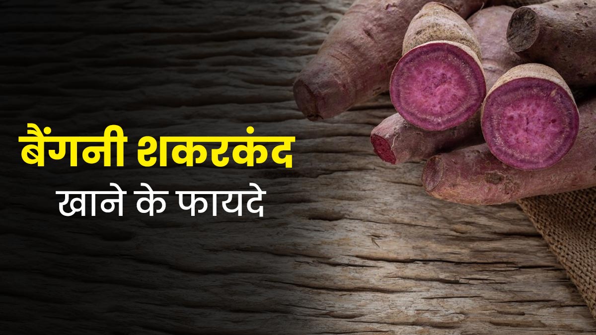 बैंगनी शकरकंद को डाइट में जरूर करें शामिल, एक्सपर्ट से जानें फायदे