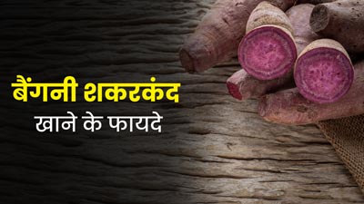 बैंगनी शकरकंद को डाइट में जरूर करें शामिल, एक्सपर्ट से जानें फायदे