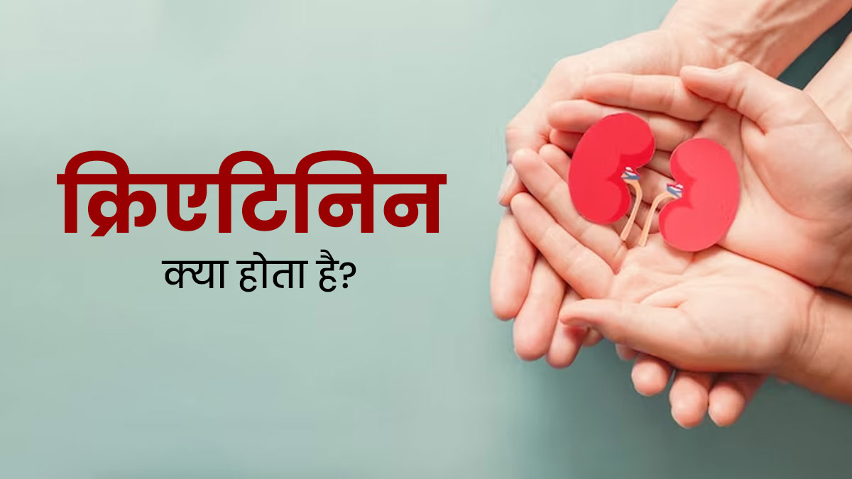 क्रिएटिनिन कितना होना चाहिए? डॉक्टर से जानें इसका फंक्शन, नॉर्मल रेंज और बढ़ने-कम होने के नुकसान