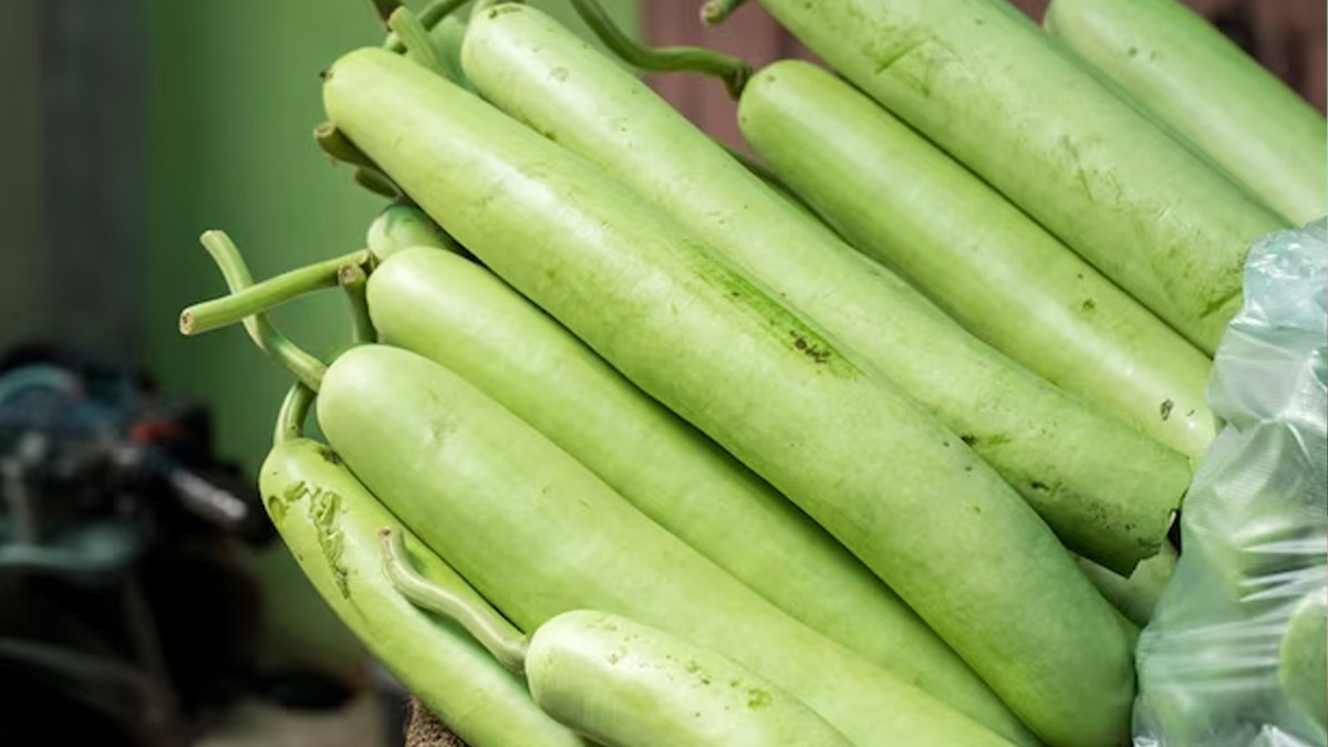 lauki ka chokha in diabetes in hindi 