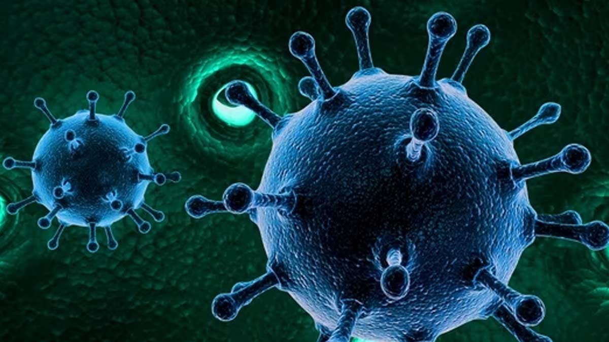 अमेरिका में कहर बरपा रहा है Norovirus, जानें इस बीमारी के लक्षण और बचने के तरीके 