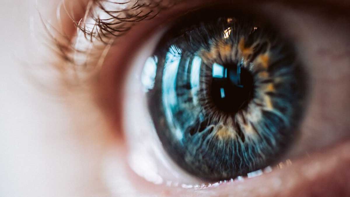 Eye Health: How Your Eye Can Tell About Your Heart And Brain 