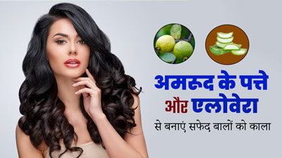 सफेद बालों को काला बनाने के लिए लगाएं अमरूद के पत्ते और एलोवेरा, इस तरह लगाने से मिलेंगे बेस्ट रिजल्ट