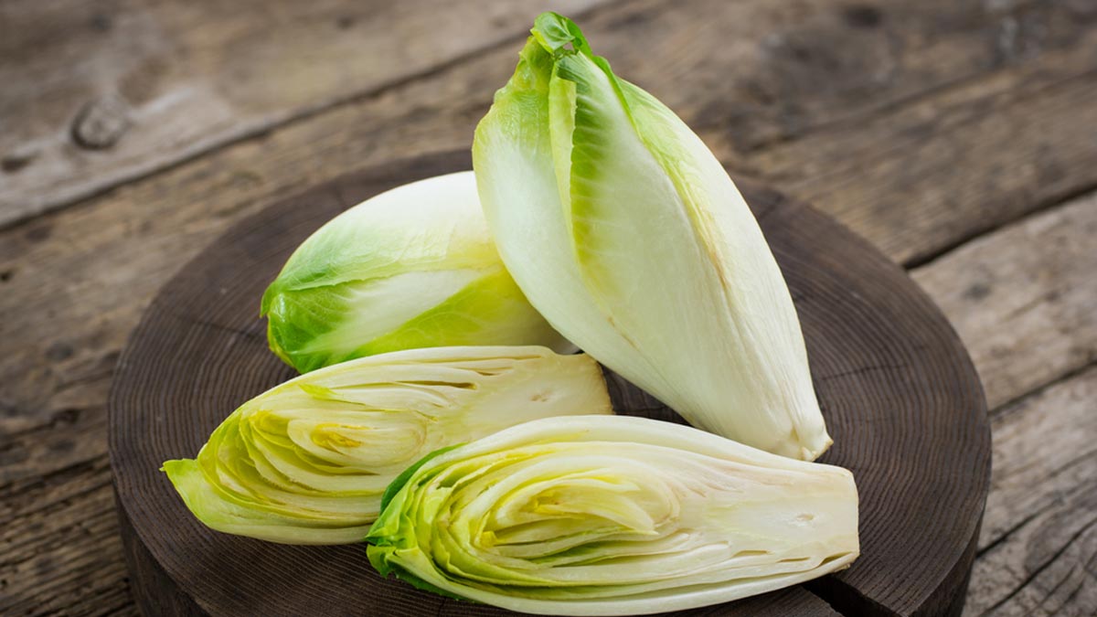 From Digestive To Bone Health, Here’s How Endives Can Transform Your Well-Being