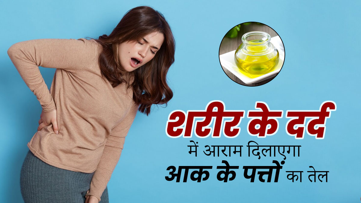 शरीर के दर्द में आराम दिलाएगा आक के पत्तों का तेल, जानें कैसे करें इस्तेमाल 