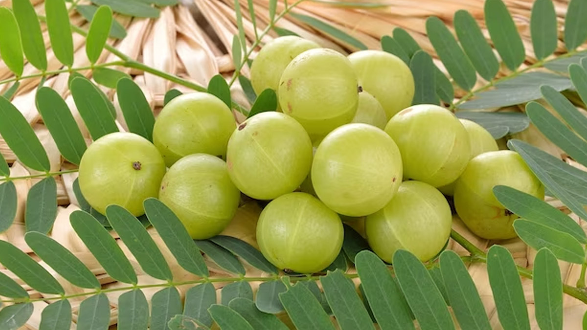 amla benefits for eyes 