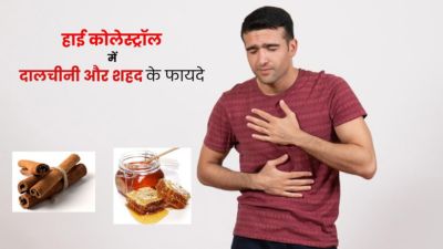हाई कोलेस्ट्रॉल कम करने के लिए ऐसे करें दालचीनी और शहद का सेवन, मिलेंगे जबरदस्त फायदे