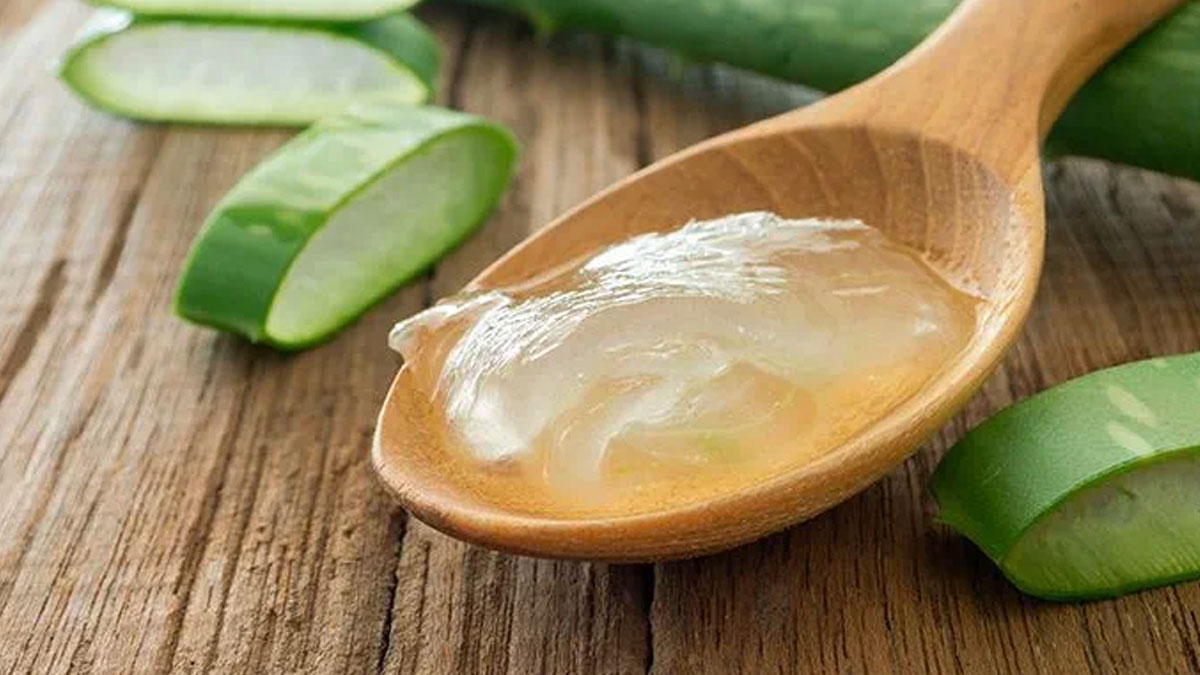 aloe vera vegetable benefitrs