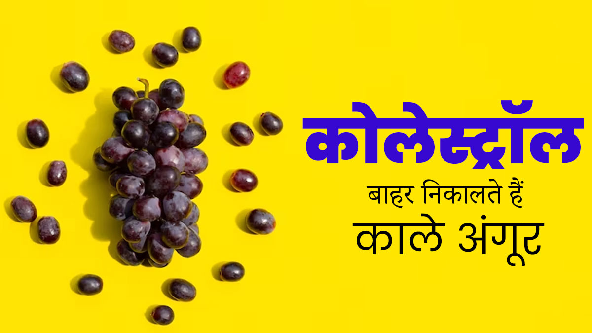 High Cholesterol के मरीजों के लिए बहुत फायदेमंद हैं काले अंगूर, नसों में जमा खराब कोलेस्ट्रॉल निकालते हैं बाहर