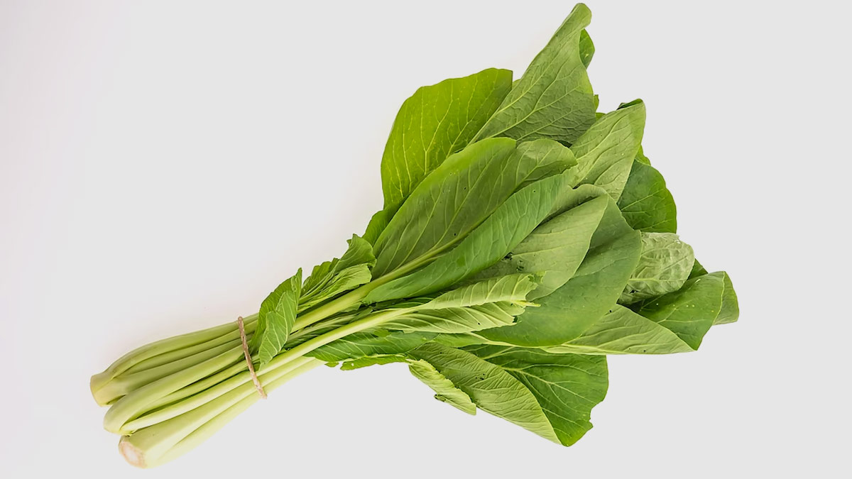 Winter Wellness: 7 Reasons to Add Goosefoot (Bathua) in Your Winter Diet, According to Experts