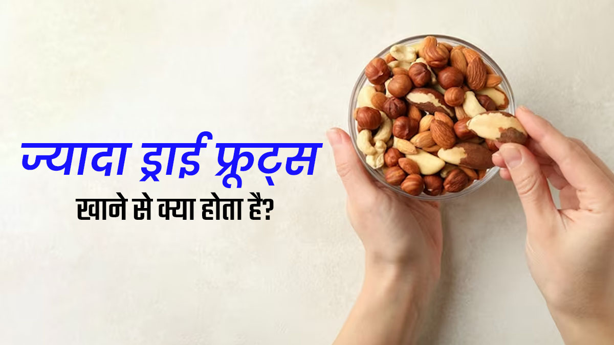 ज्यादा ड्राई फ्रूट्स खाने से हो सकती हैं ये 5 स्वास्थ्य समस्याएं, एक्सपर्ट से जानें इनके बारे में