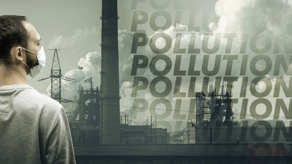 Expert Shares Home Remedies to Alleviate Bronchitis Symptoms