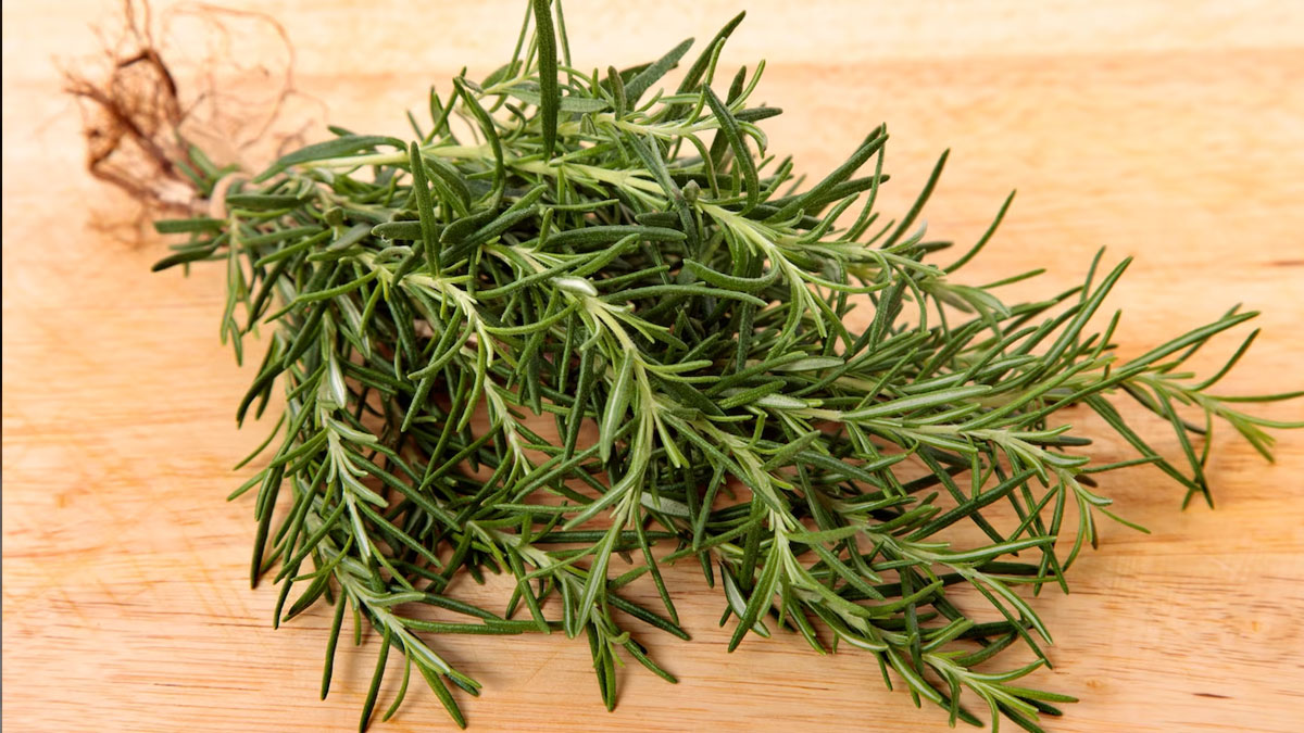 rosemary