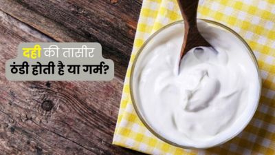 दही की तासीर गर्म होती है या ठंडी? जानें डाइटिशियन से