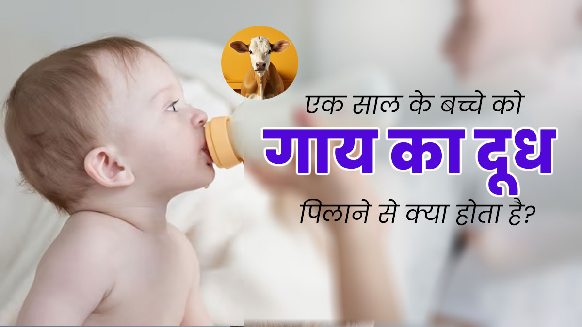 एक साल से कम उम्र के बच्चों को क्यों नहीं पिलाना चाहिए गाय का दूध? एक्सपर्ट से जानें