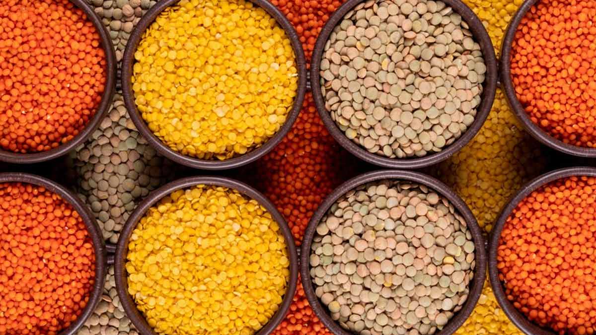 Indian Food Items to Include in Your Diet for a Healthy Gut